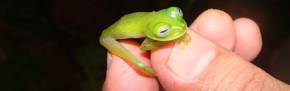 Image is not available