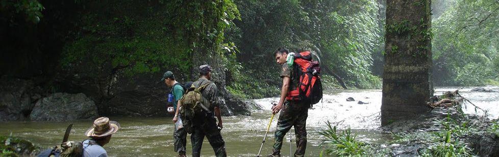 Image is not available