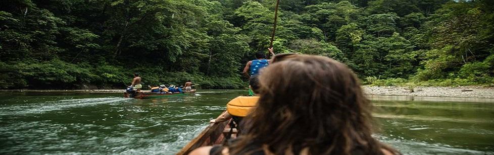 Image is not available