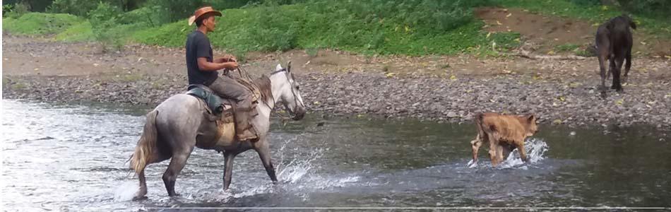 Image is not available