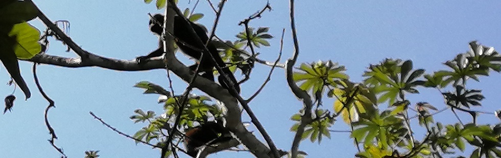 Image is not available